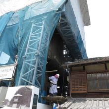 下から覗き込むと、こんな感じ