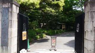 東京ドームの屋根が見える広大な庭園