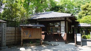 たくさんの草木鑑賞ができるスポット