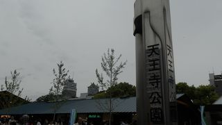 とても広い公園です