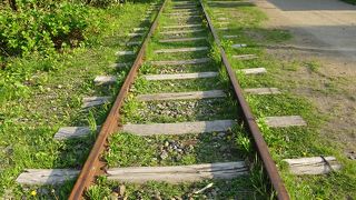 緑豊かで散歩を楽しめる遊歩道