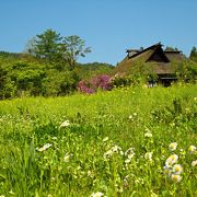 遠野へ行くなら必ず訪れたい