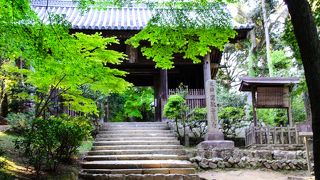 静けさと温もりにあふれたお寺さんです。