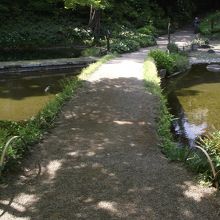 橋手前から見たところ