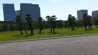 一般参賀ではすごい人ですが