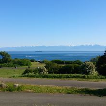 丘の上からは海が見えまーす！