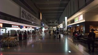 ターミナルは大きいです。