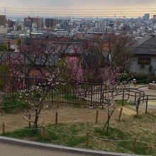 少し高台なので眺めもよいです