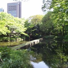 池の真ん中を一直線に伸びています