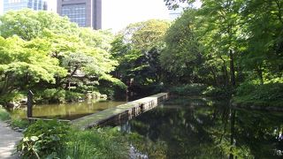 眺めていると渡ってみたくなるところです