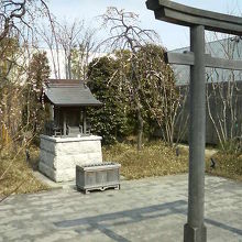 社は小さいですが、それ以外の見どころが豊富でした。