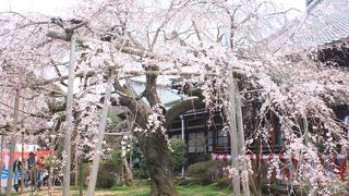 毘沙門堂の中を見学できました