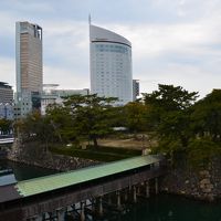玉藻公園から　右のビルがホテルです。