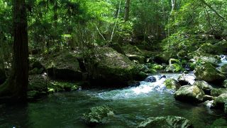 こじんまりした川沿いの道