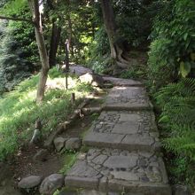 西側の様子 (左手が大泉水)