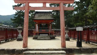 松林にひっそり