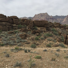 こんな道を♪時々駆け上がったり下りたり。