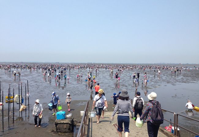 アクアラインから近い潮干狩り海岸