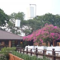 右側のレストランは完全に外です。　奥はバー。