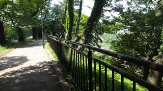お濠を見ながら木陰を楽しむ良い遊歩道。