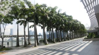 椰子の木陰で潮風に吹かれ……