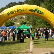 Mt.Festa in六甲山