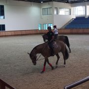 馬場、厩舎などが見学できます