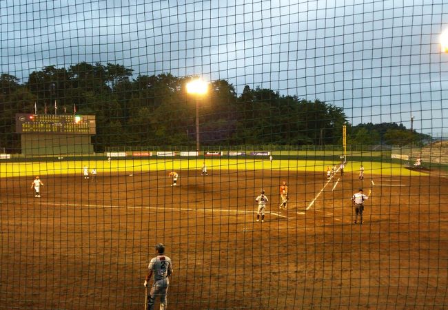 競技場もある大きな公園