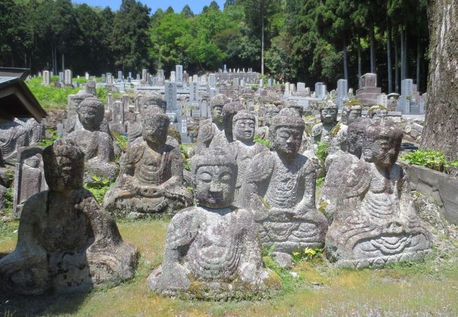 半額SALE★ 鵜川四十八体石仏 クチコミ・アクセス・営業時間｜高島【フォー 彫刻