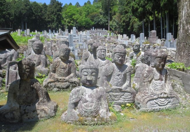 歴史をかんじる鵜川四十八体石仏群