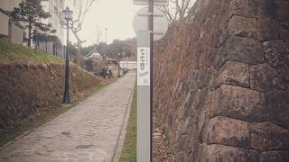 チャチャ登り♪