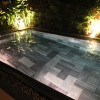 部屋のプール。深さは写真手前が深く、奥が浅くなっていました。