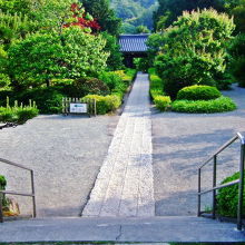 浄妙寺　本堂から山門を望む