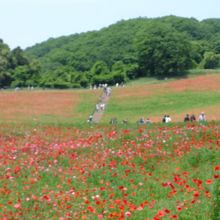 彩の国ふれあい牧場