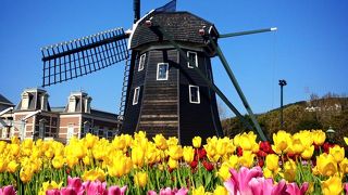 春のハウテン、なかなか良かった…けど・・・