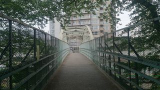 飛鳥山へのアプローチのためにあるような人道橋