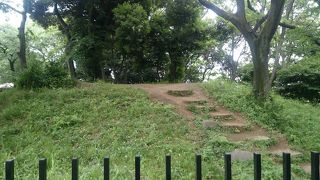 柵で囲まれた一画がこん盛りとしています。