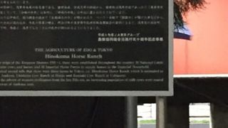 ひのくまのうままき