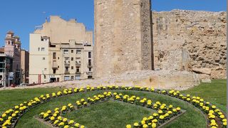 ローマ時代の楕円競技場と長官公邸遺跡　プレトリとシルク ローマ