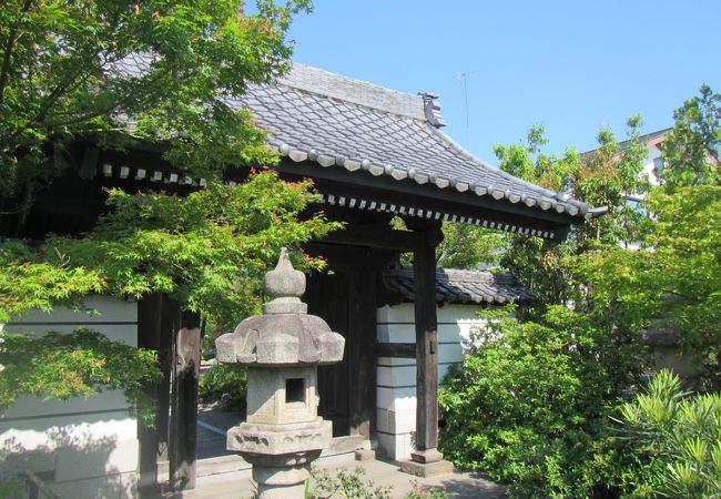 有鹿神社の門前