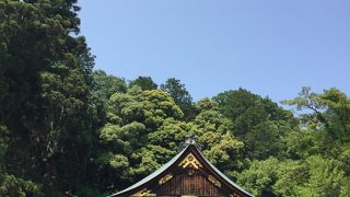 たねやに行くようになってから