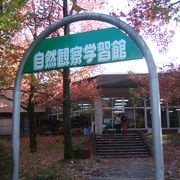 万博公園の自然文化園の中にある学習館