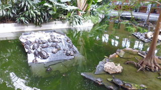 植物園のある駅