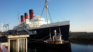 クラッシュに会いに！