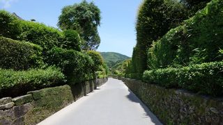 武家の個人庭園と古い街並みを見学できます