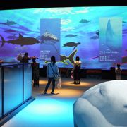 オービィ大阪 クチコミ アクセス 営業時間 吹田 万博公園 フォートラベル