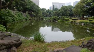 鳥の遊ぶ公園の池になっているけど、元は江戸城の堀です。