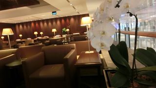 広くゆったり、メニューも豊富