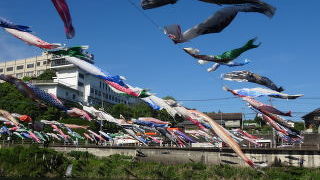 GWはこいのぼりがいっぱい