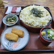 金しゃちセット